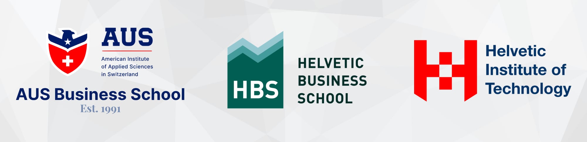 Swiss Institutional Network