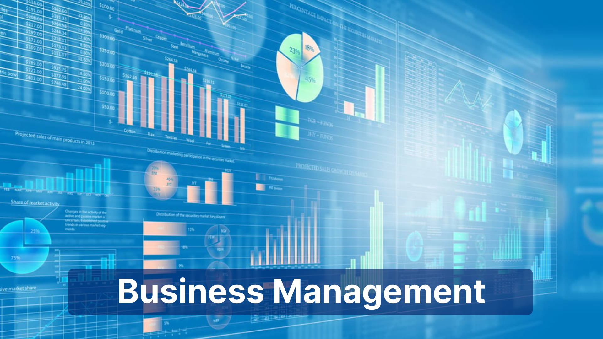 Business Management