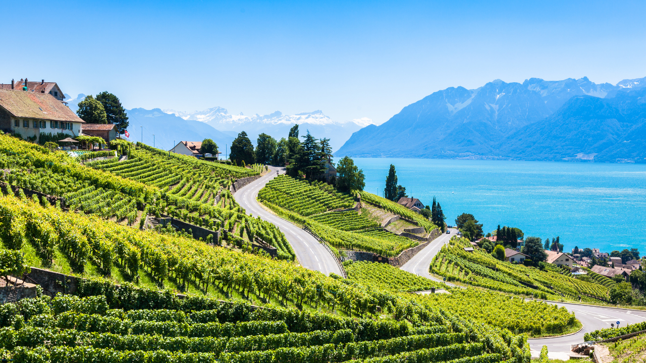 Landing page landscape images (5)-1